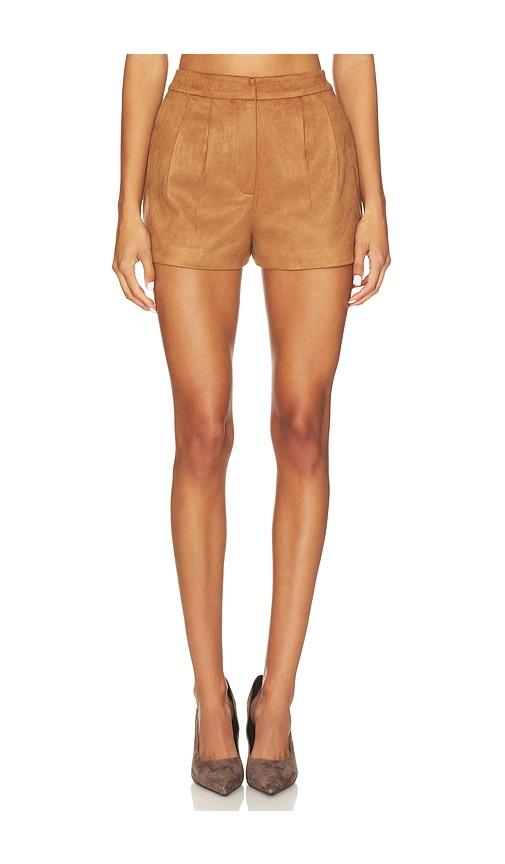 astr the label jude shorts in brown.