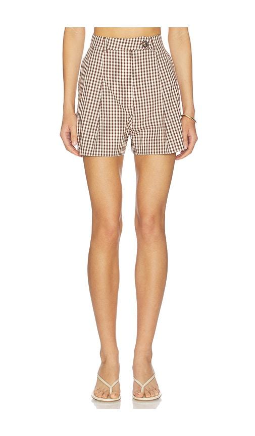 astr the label preston shorts in brown.