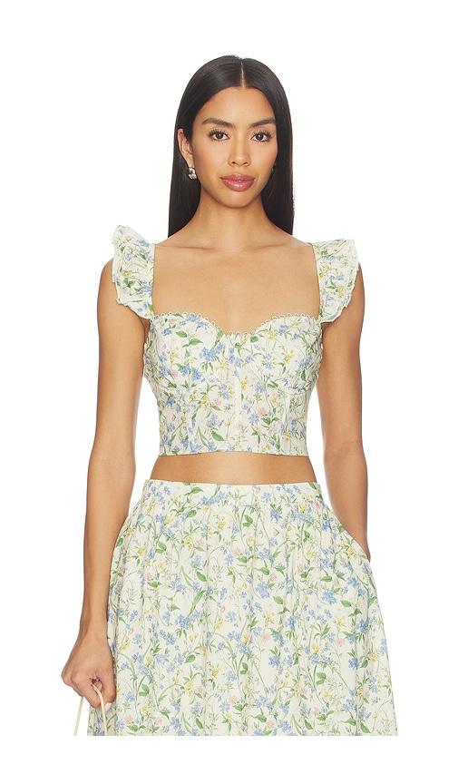 astr the label wedelia top in green.