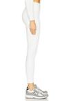 ava legging