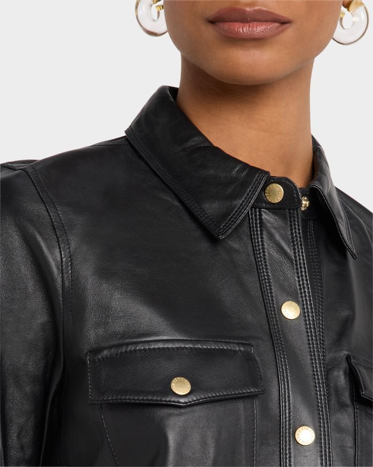 avina leather blouse