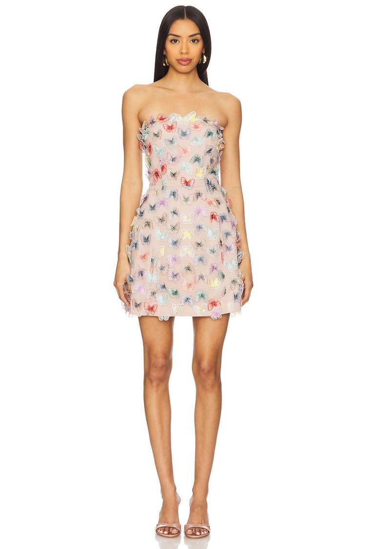 aviva mini dress