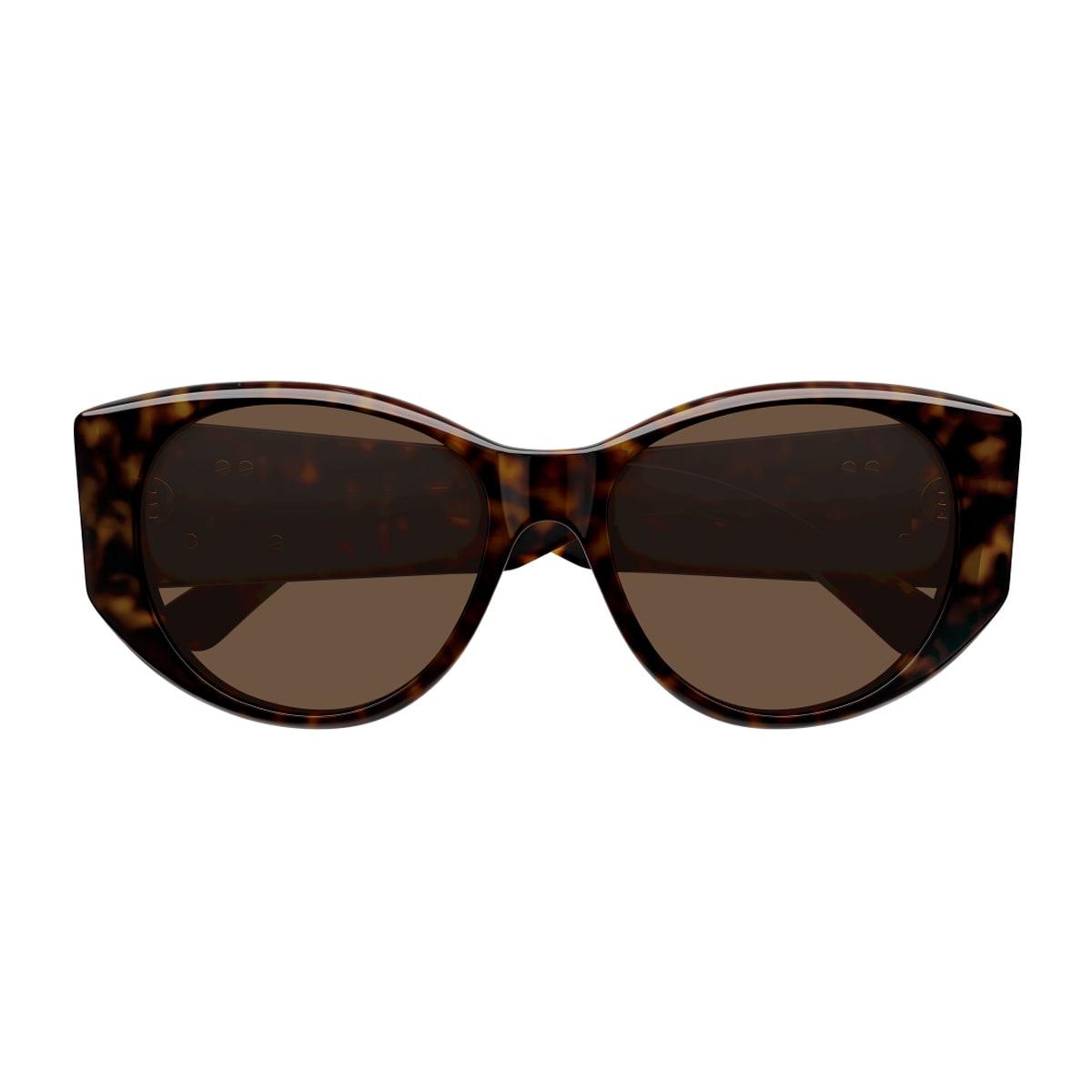 balenciaga eyewear balenciaga bb0455s linea extreme 002 havana brown sunglasses