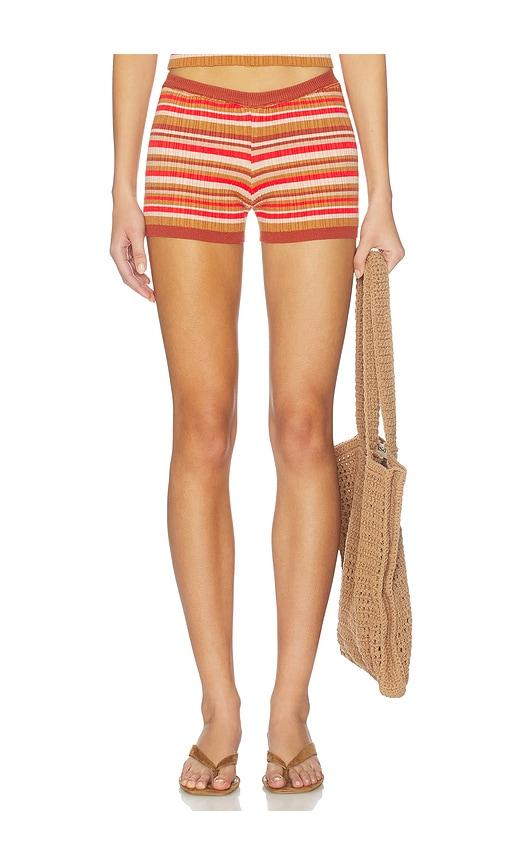 bananhot jack shorts in red,brown.