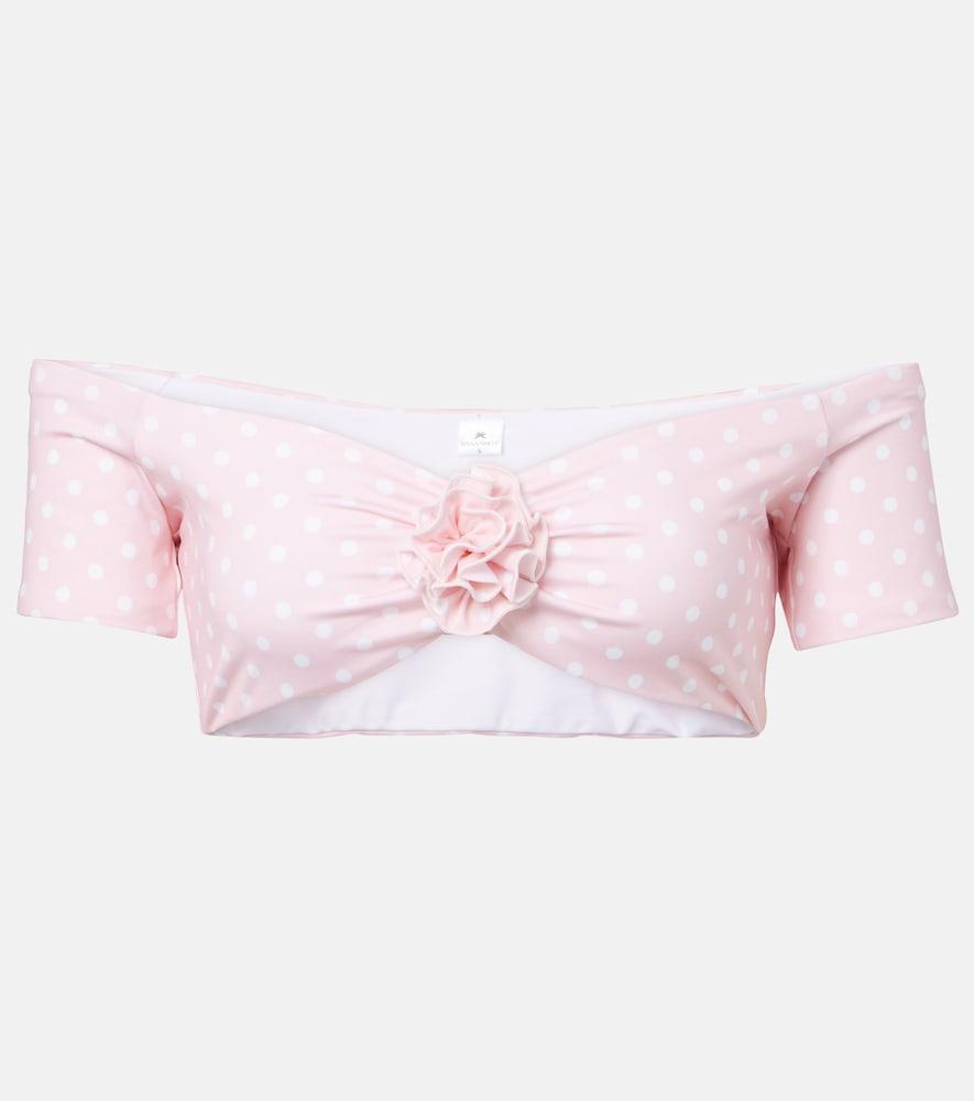 bananhot stefani polka