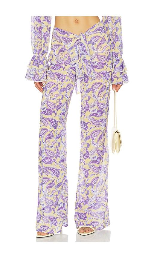 bananhot tommy pants in yellow,purple.