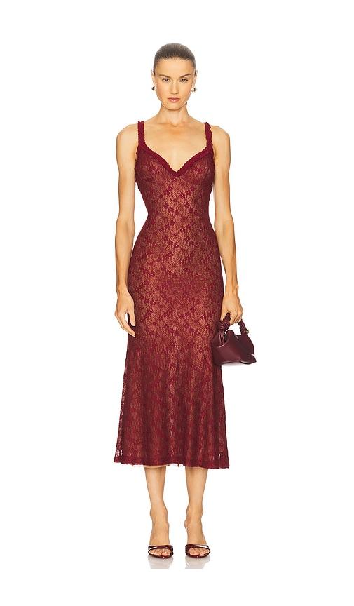 bardot alegra stretch lace midi dress in burgundy.