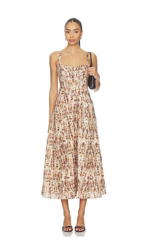 bardot lilah corset midi dress in brown.