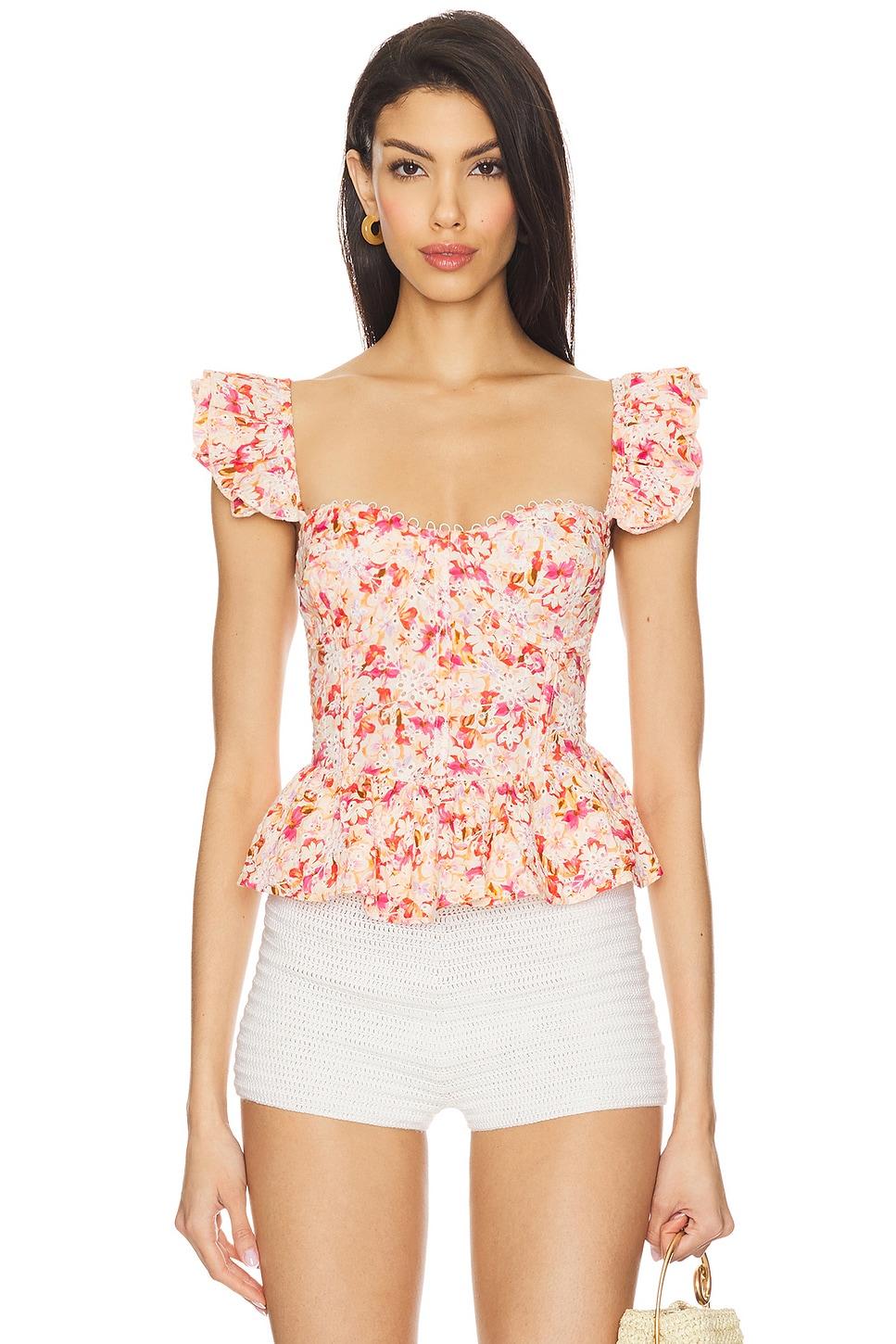 baylin top