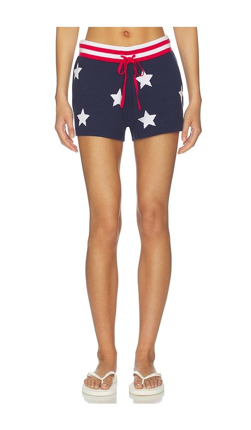 beach riot balboa short in navy.
