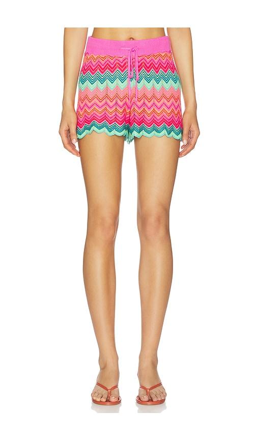 beach riot balboa short in pink.