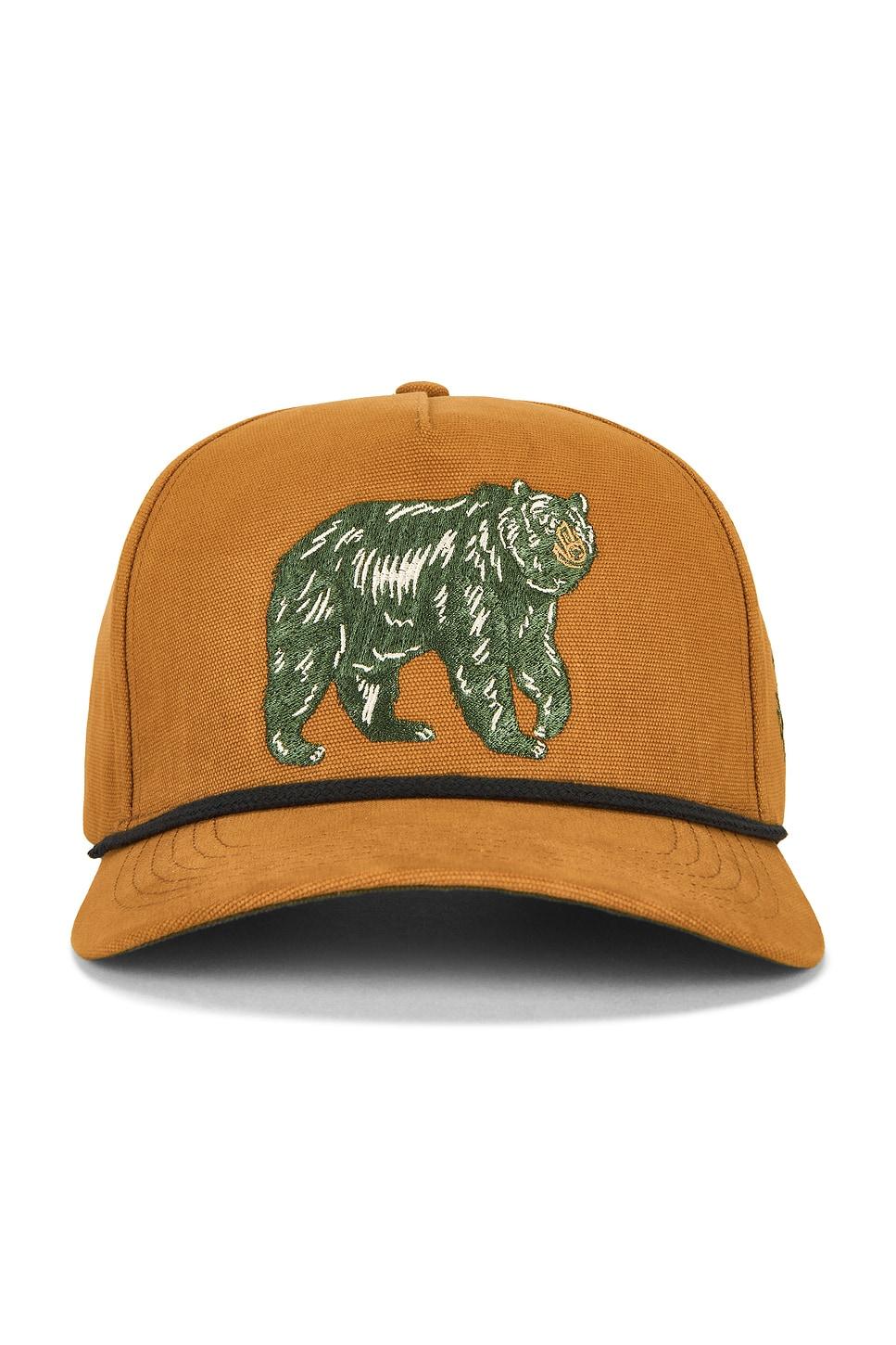 bear cap