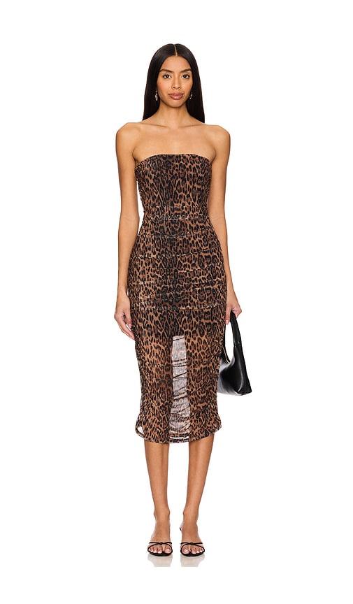 bella venice emerson tube dress in brown.