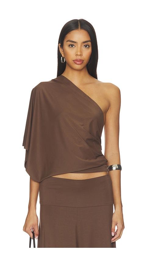 belle anna arden top in brown.