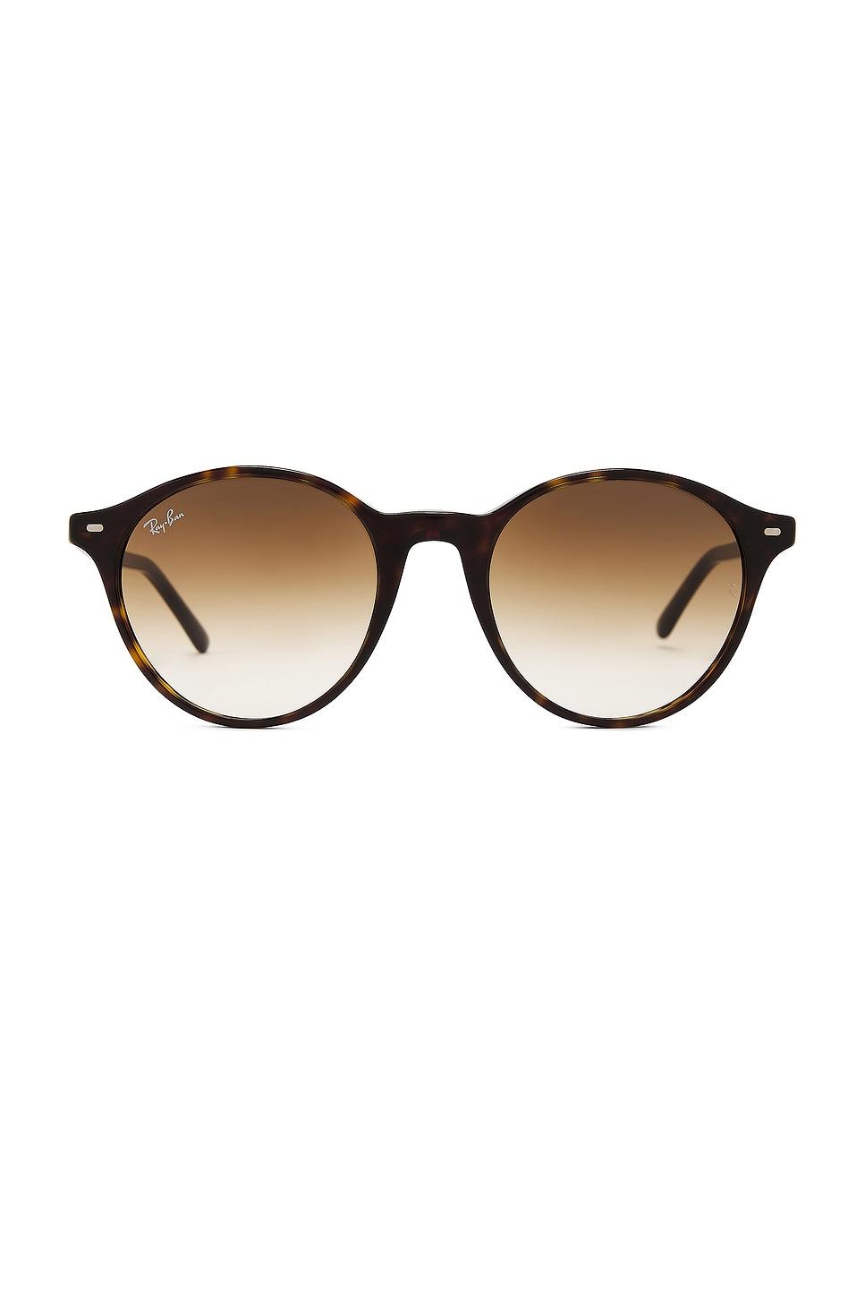 bernard sunglasses