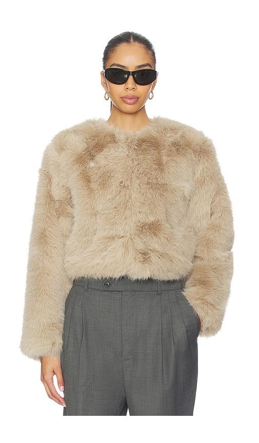 blanknyc crop faux fur coat in beige.