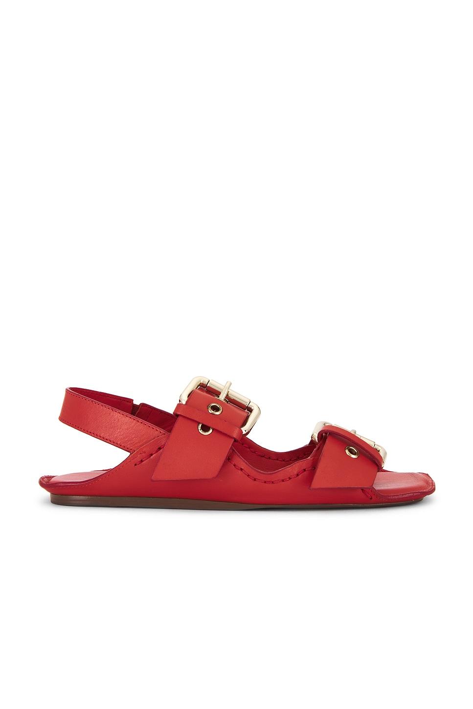 blossom buckle sandal