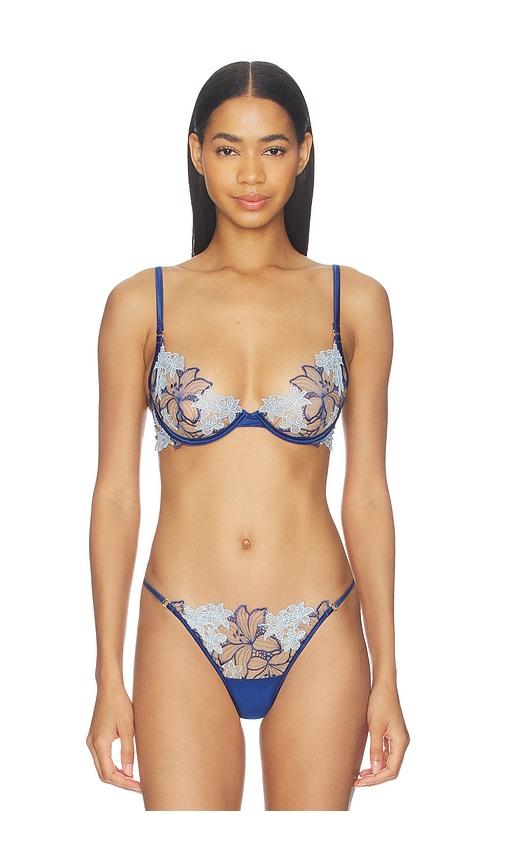 bluebella calantha wired bra in baby blue, navy.