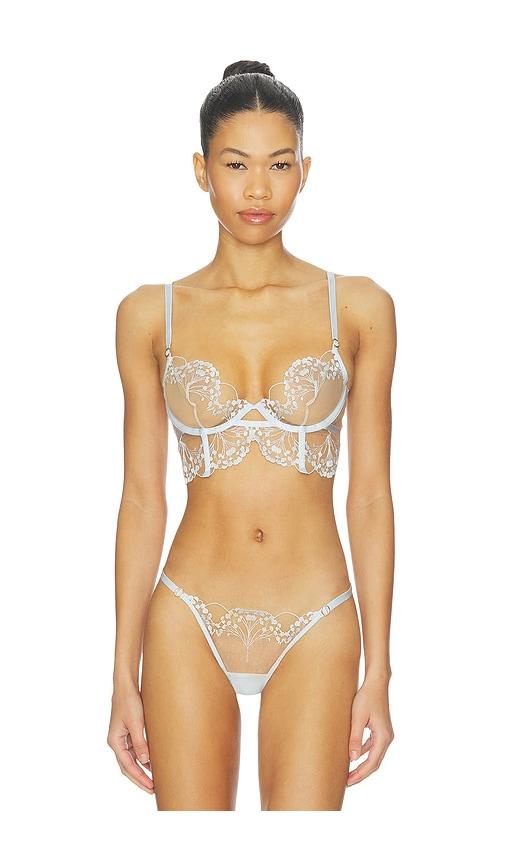 bluebella marisa wired bra in baby blue.