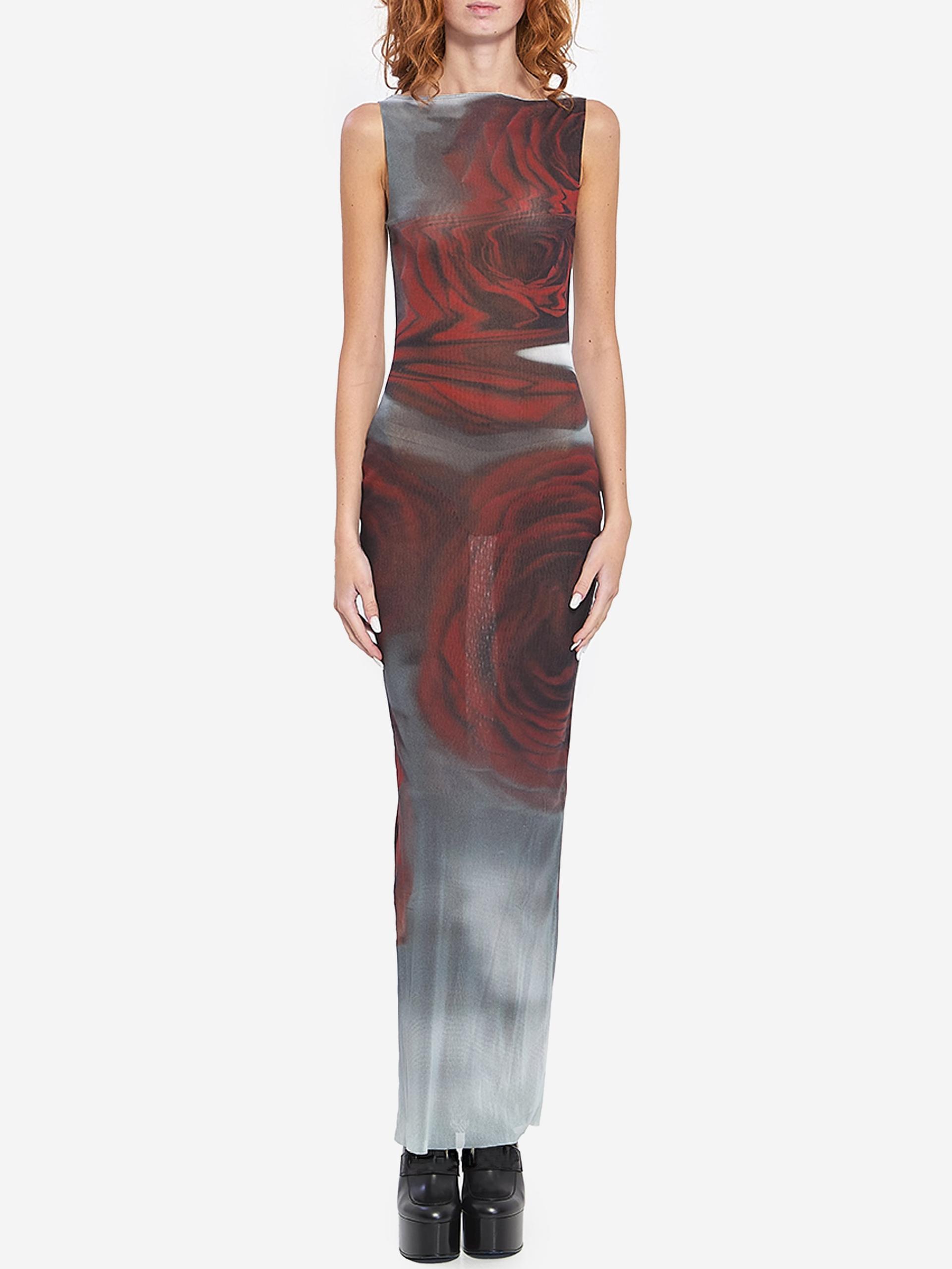 blurry roses maxi dress