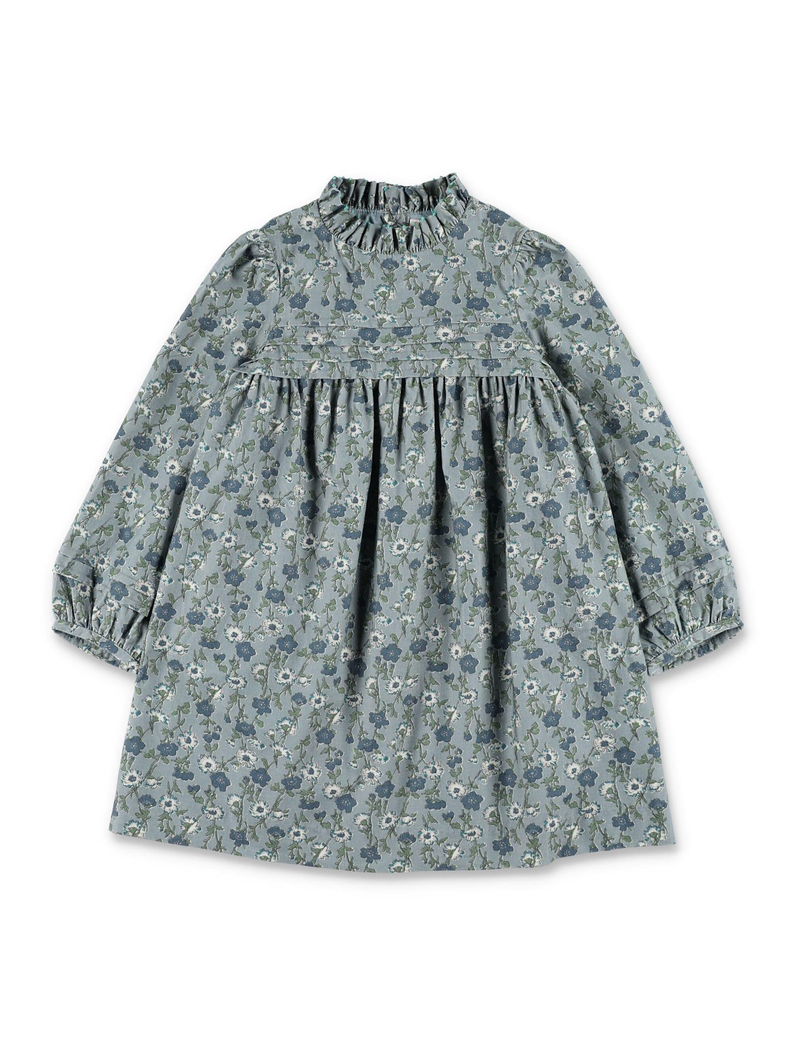 bonpoint topaz girls liberty velvet dress with embroidered collar