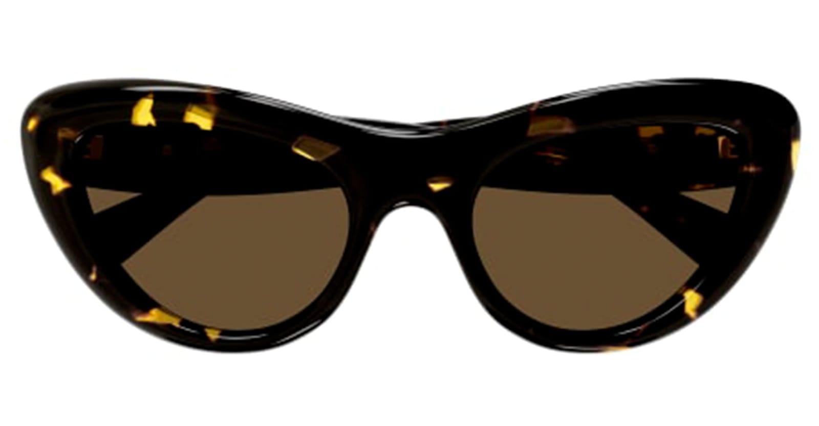 bottega veneta eyewear bv1282s-002 - havana sunglasses