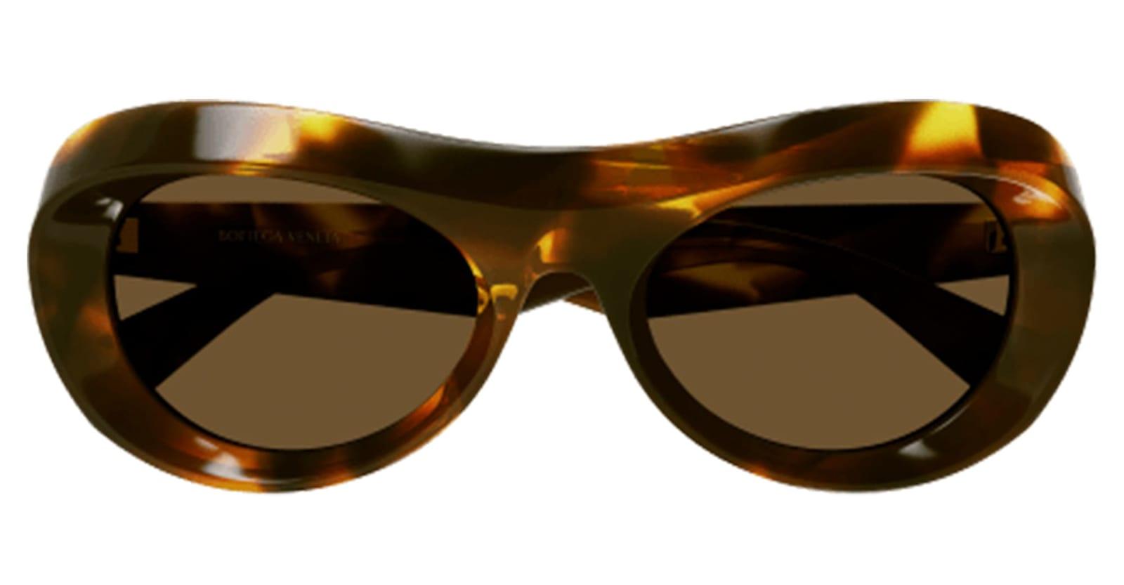 bottega veneta eyewear bv1284s-002 - havana sunglasses