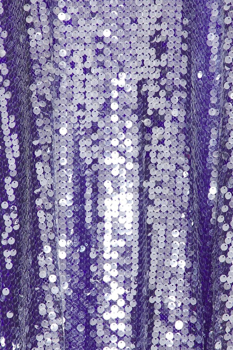 braelynn mesh sequin midi dress