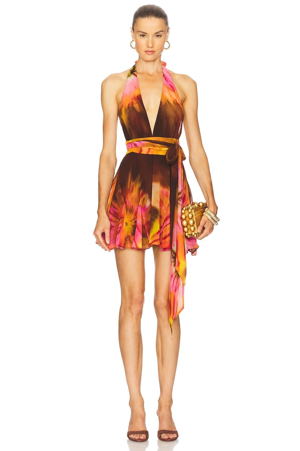 briola chiffon dress