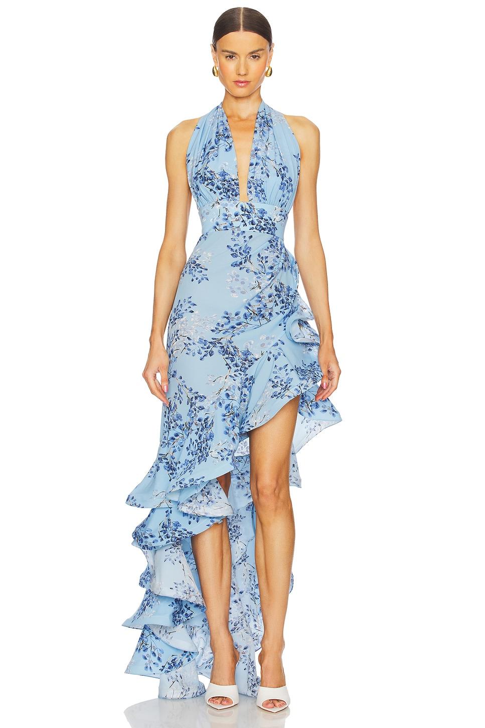 bronte poppy maxi dress