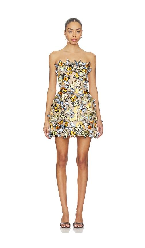 bronx and banco bella butterfly maraya strapless mini dress in orange.