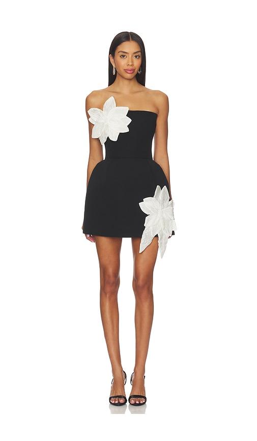 bronx and banco jasmine maraya mini dress in black,white.