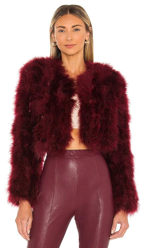 bubish manhattan jacket in wine.