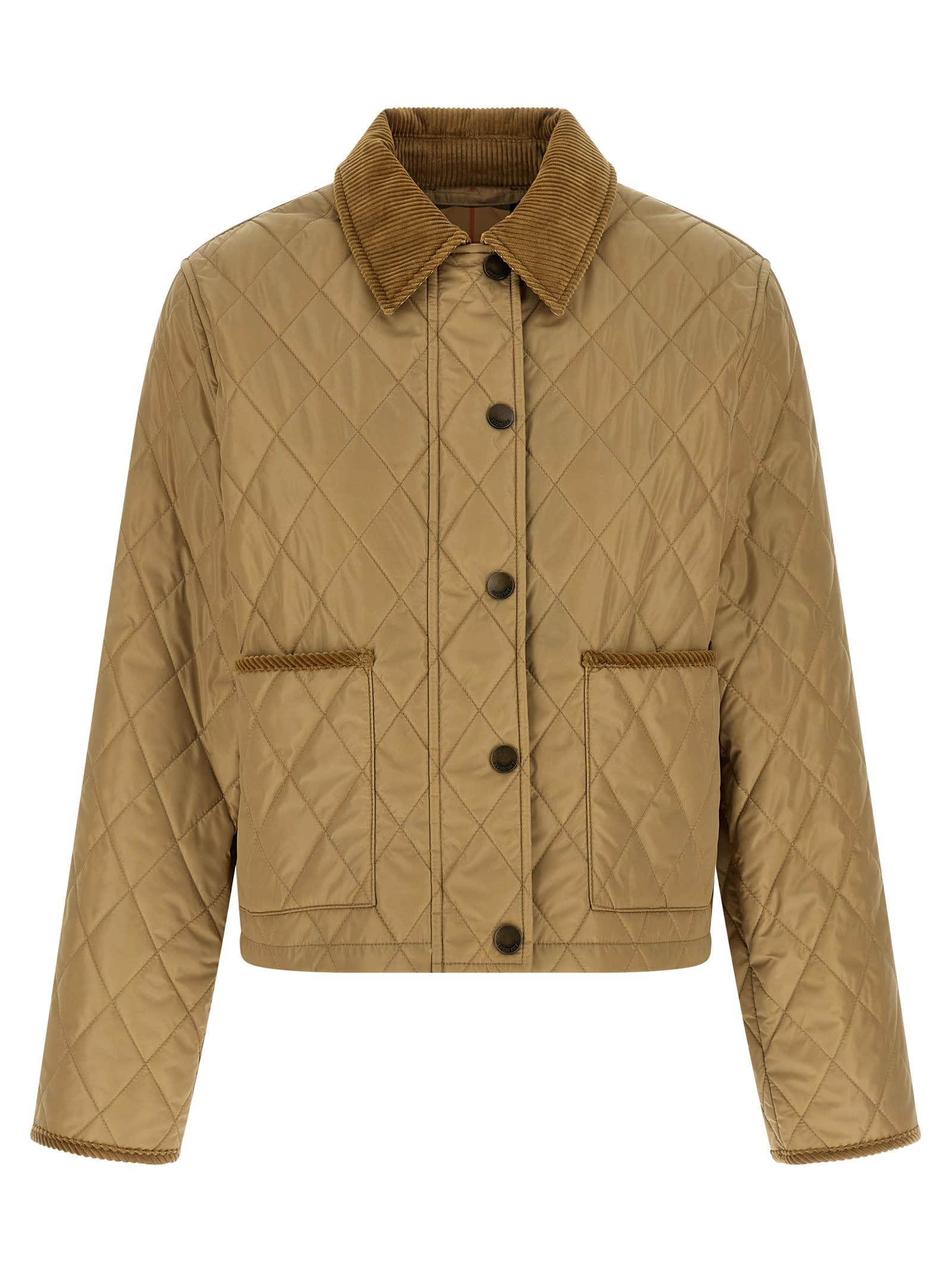 burberry tal jacket