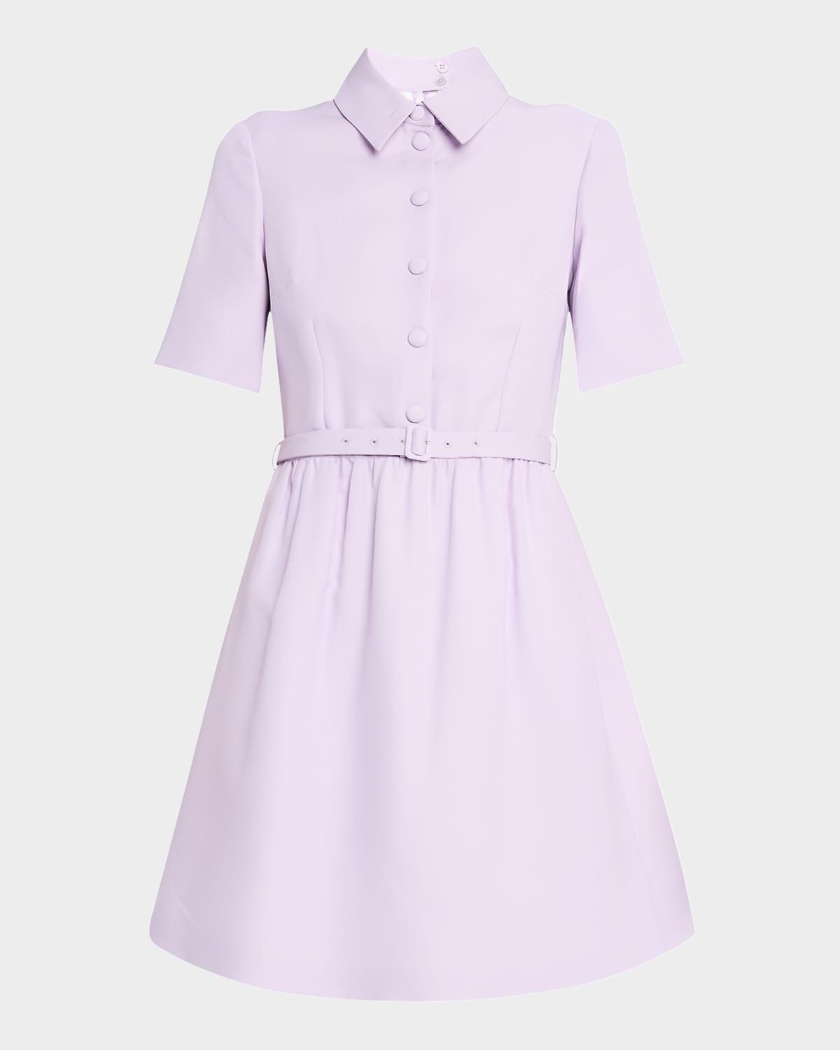 button-front fit-and-flare shirtdress