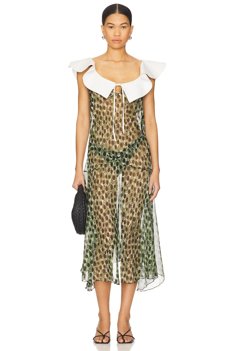 caenes dress