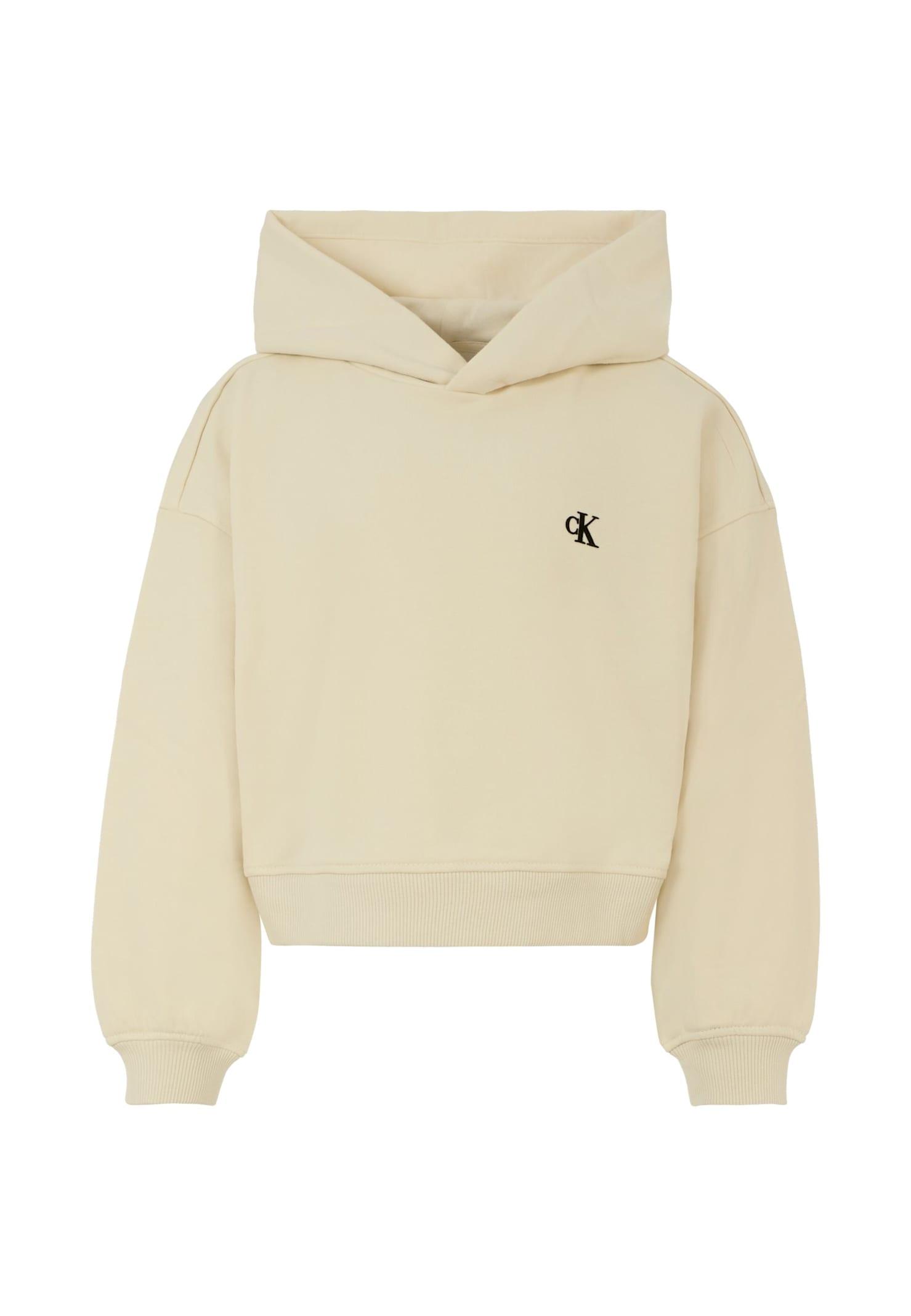 calvin klein blue sweatshirt for boy with logo