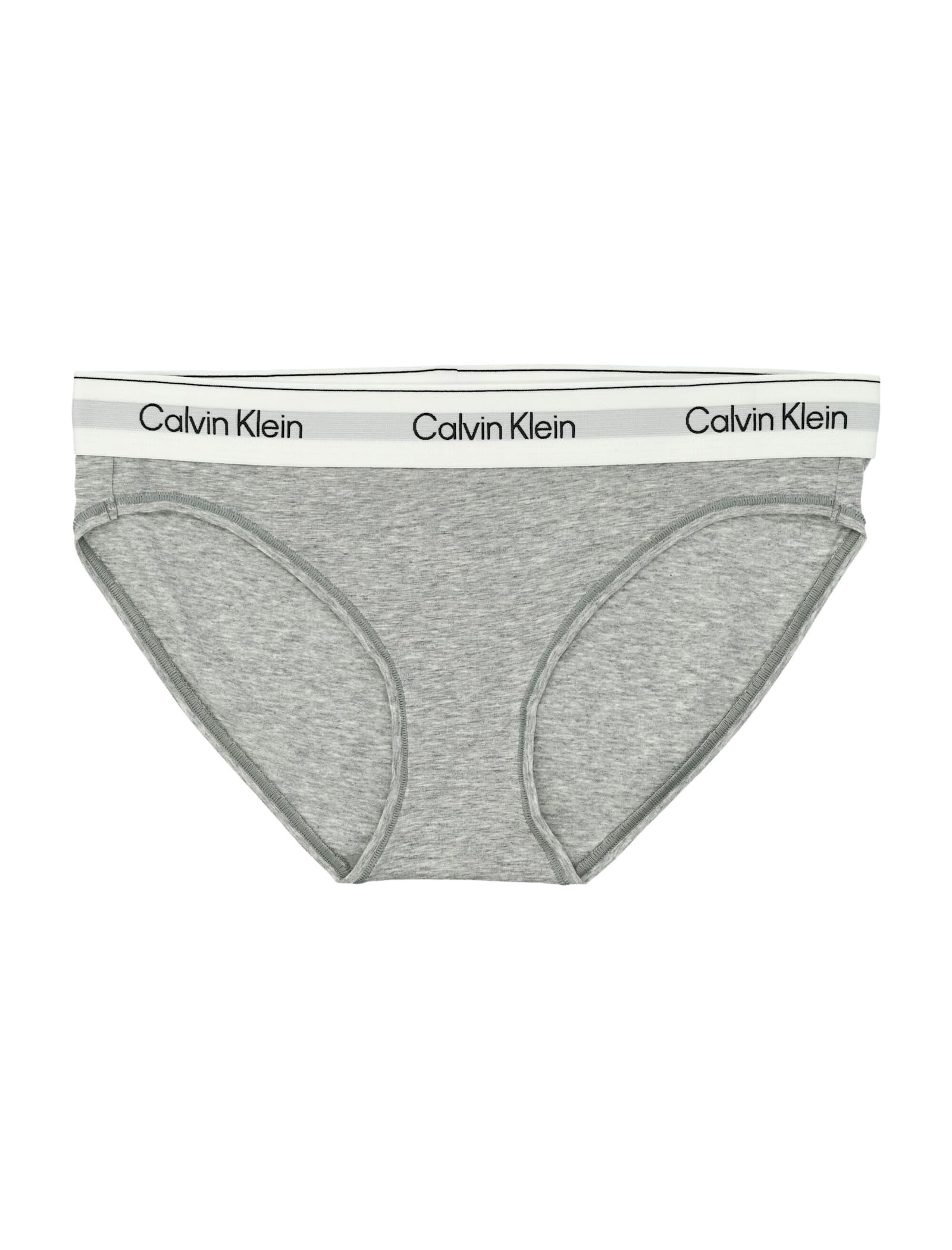 calvin klein icon cotton modal classic briefs