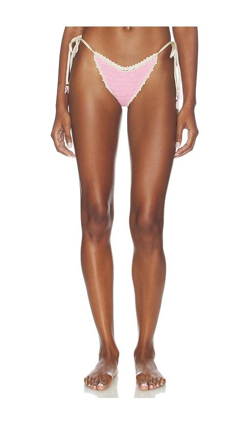 capittana trinidad flower bottom in pink.