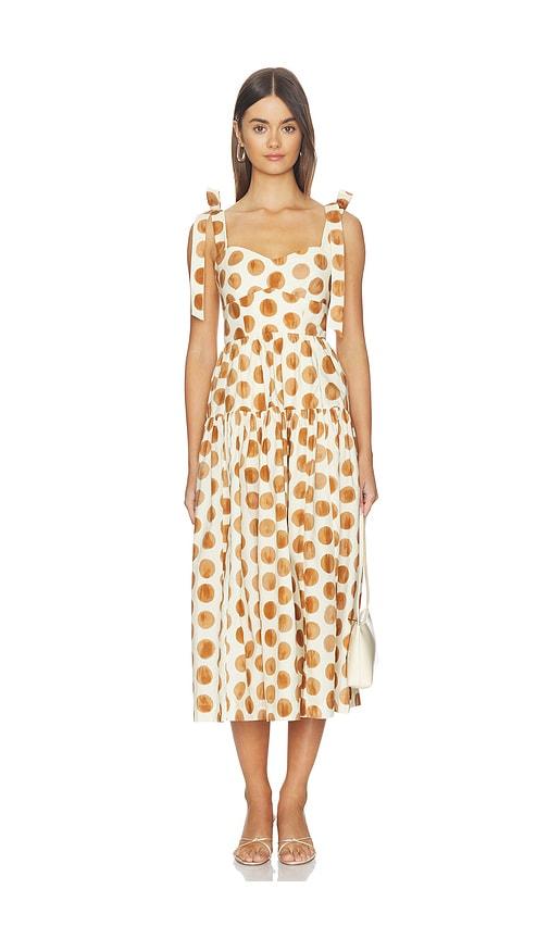 cara cara faiza dress in cream,brown.