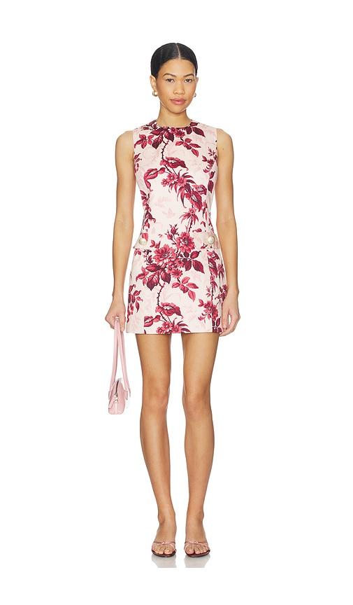 cara cara posie dress in pink.