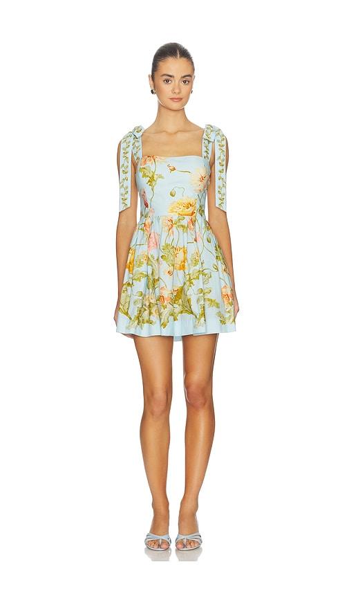 cara cara tula mini dress in baby blue.