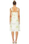 carlynn dress