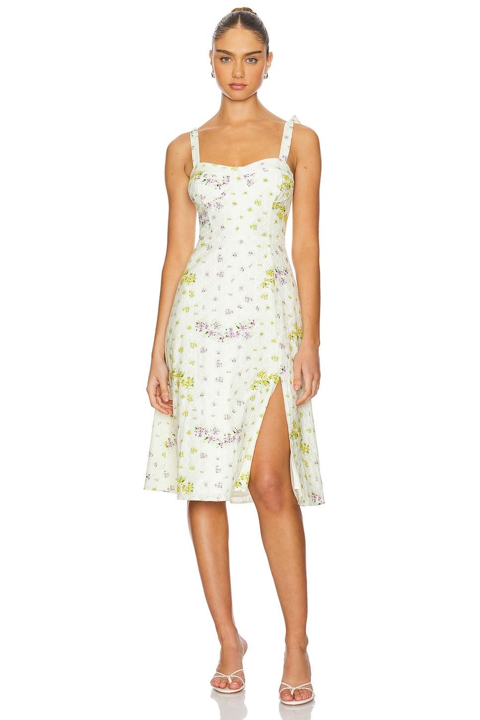 carlynn dress