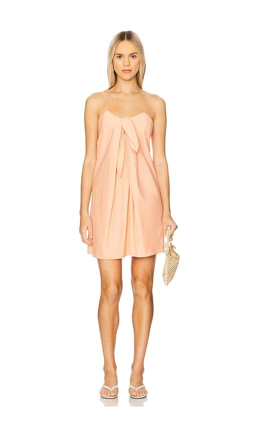 caroline constas kaia mini dress in peach.