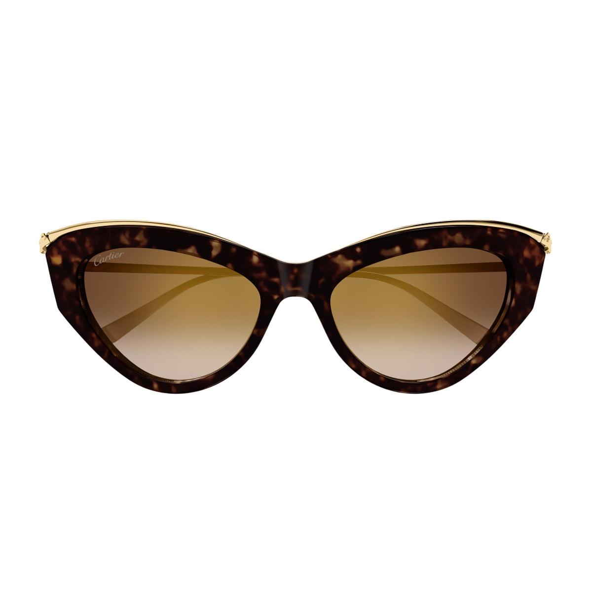 cartier eyewear cartier ct0596s panthere de cartier 002 havana gold brown sunglasses