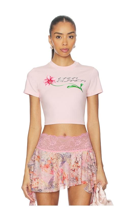 casablanca orchid logo cropped baby tee in pink.