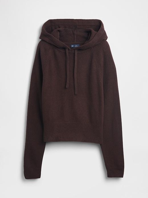 cashsoft sweater hoodie