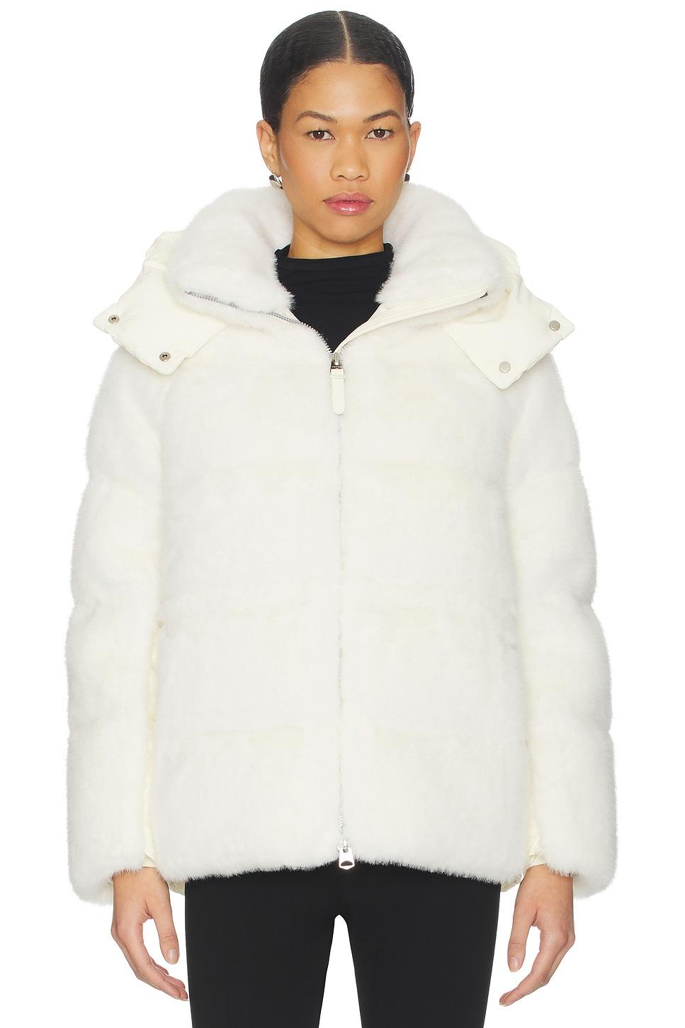 cassidy coat