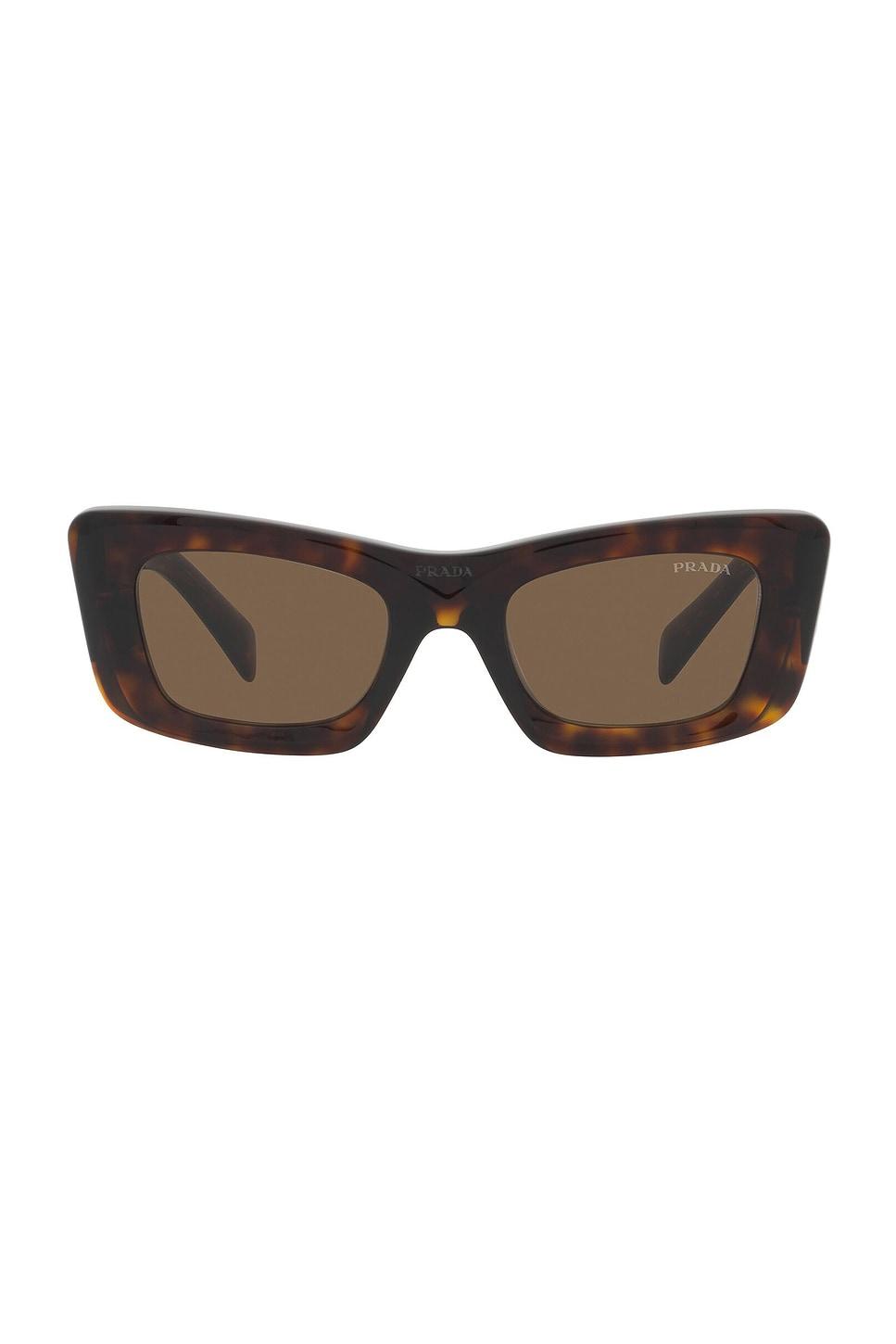 cat eye sunglasses